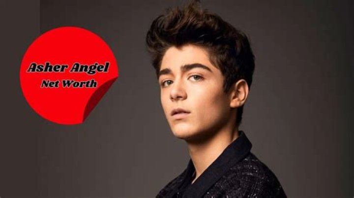 Asher Angel Net Worth: Details About Movies, Income, Age, Home, Career - SarkariResult