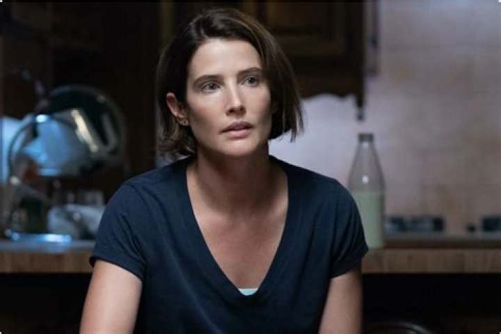 Cobie Smulders Net Worth: Details About Movie, Income, Age, Home, Career - SarkariResult
