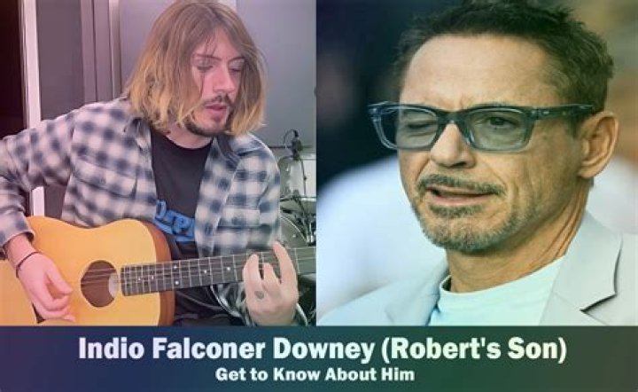 Details About Indio Falconer Downey Parents and Net Worth