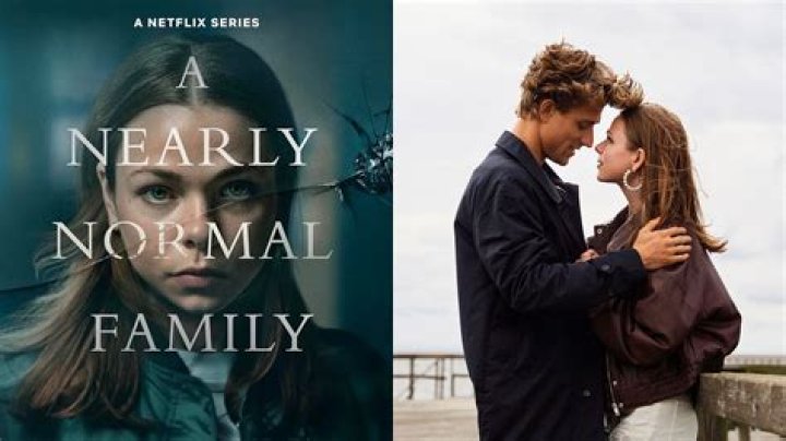 Explaining the Ending of "A Nearly Normal Family" on Netflix - SarkariResult