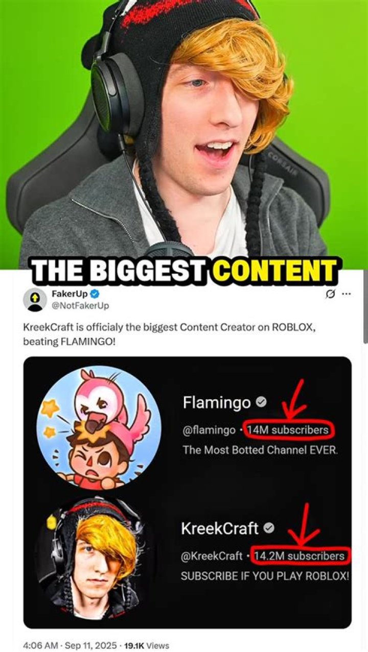 Flamingo Youtuber overview