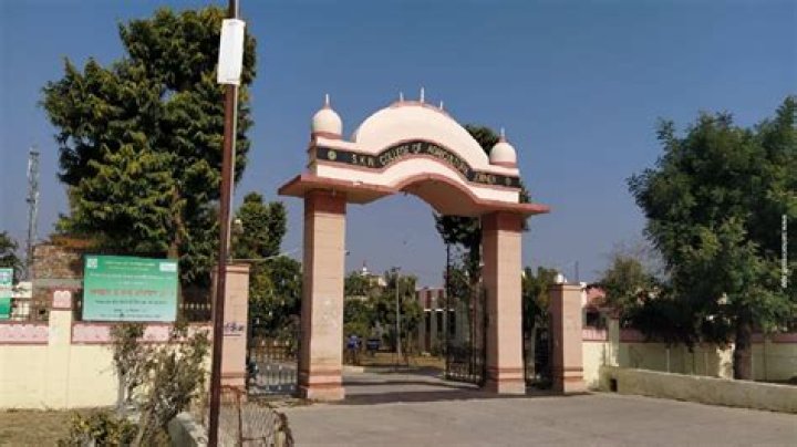 Jordan Belfort's Current Status: Checking His Whereabouts and Activities Now - SarkariResult