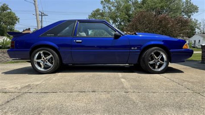 Similar Youtubers to Neomustangs