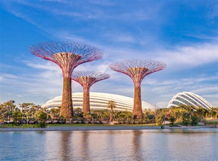 Top 5 Amazing Sakura Places In Singapore: Best Places To Visit - SarkariResult
