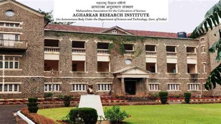 Vieirinha Net Worth: Details About Him, Career, Home, Age, Income - SarkariResult