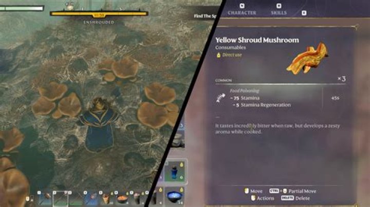 Where to get Shroud Spores in Enshrouded? - SarkariResult